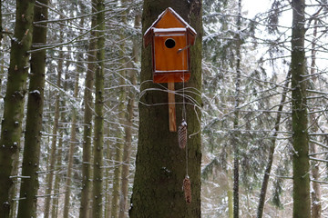 Wooden bird house on a tree in the forest. Bird feeders