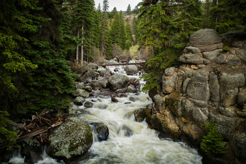 Don't go chasing waterfalls Roaring river waterfall running over rocky shores in forest in Wyoming Yellowstone National Park