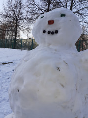 snowman in winter