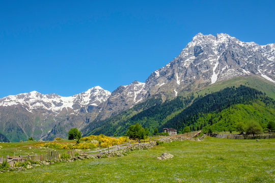 Mount Ushba from Mazeri, Samegrelo-Zemo Svaneti region, Georgia.