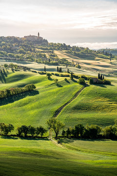 Pienza in background, green meadow and spring field in foreground, Val d'Orcia, Tuscany, Italy