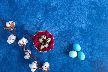 Obraz na płótnie Canvas Decorative quail easter eggs in red nest on dark blue background. Holiday decorations, Easter concept background.