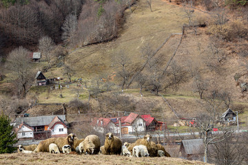 Landscape in Transylvania, Romania