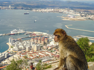 Gibraltar - britisches Überseegebiet - Spanien