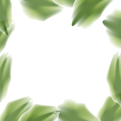 Frame background with green leaves