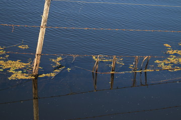 Wire reflection in flooded field