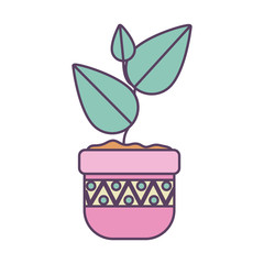 Isolated plant inside pot line and fill style icon vector design