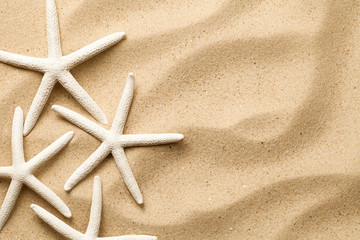 Fototapeta na wymiar Starfishes On Sand Background