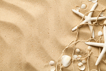 Fototapeta na wymiar Sand Background With Starfishes And Seashells