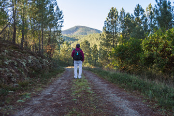 Mujer caminando en la naturaleza con mochila en la espalda