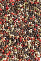 Mix of pepper seeds, spicy and condiment ingredients
