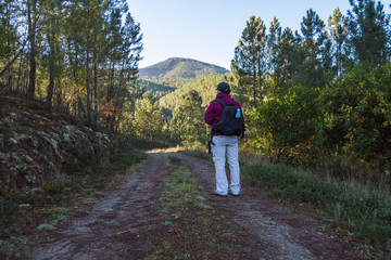 Obraz premium Mujer caminando en la naturaleza con mochila en la espalda