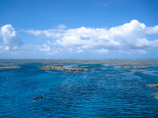 Fototapeta premium Great Barrier Reef Queensland Australia