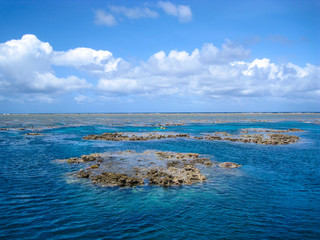 Fototapeta na wymiar Great Barrier Reef Queensland Australia