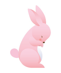 Cute rabbit cartoon vector design