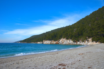 Kastani beach . Skopelos island . Sporades , Greece Beutiful beaches .