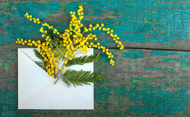 Beautiful spring yellow mimosa flowers in paper postal envelope with space for text on bright wooden background. Greeting card with bouquet. Spring beginning concept. Top view, flat lay