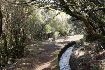 Levada do Alecrim (Madeira)