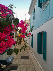 Narrow street in Greece with flowers.