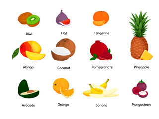 Tropical fruits set.