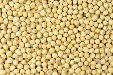 Soybean pattern as for background.