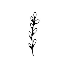 Cute single hand drawn easter herbal elements. Verba, salix alba. Spring flowers. Doodle vector illustration for wedding design, logo, greeting card and seasonal design