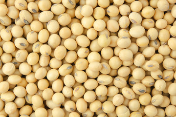Soybean pattern as for background.