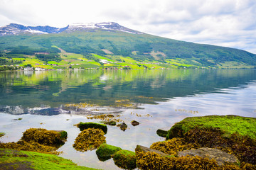 Fototapeta na wymiar Beautiful Innvikfjord and mountains landscape with beautiful green stones on the shore from Innvik village. The Innvikfjord is a sub-fjord of Nordfjord in Stryn municipality in Sogn og Fjordane. Norwa