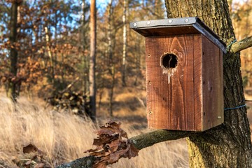 wooden birdhouse on a tree. Wooden birdhouse on oak. Birdhouse for birds on the tree