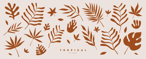 Fototapeten Set of exotic palm leaves of various shapes and sizes vector illustration on a light background. Tropical plants. Terracotta color plant collection in flat style. Elements for ecological design. © KOSIM