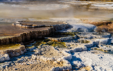 MAMMOTH HOT SPRINGS, YELLOWSTONE