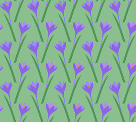 Fototapeta na wymiar Spring purple crocuses flowers on green pattern