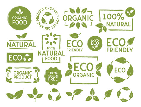 Set of Eco, bio, organic and natural products stickers, labels, badges and logos. Ecology icons set. Logo templates with green leaves for organic and eco friendly products. Vector illustration