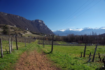 Fototapeta premium PAYS SAVOYARD