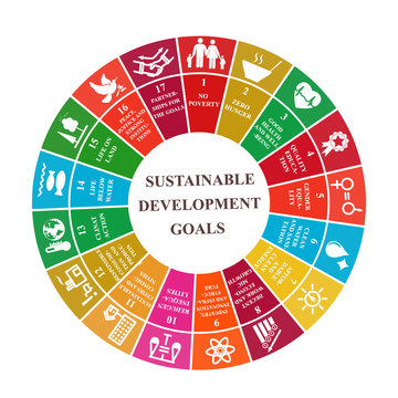 Multicolored circular pie chart showing sustainable development goals with text and icons numbered 1 through 17 over white, Vector illustration