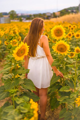 Naklejka premium Lifestyle, a caucasian blonde walking among beautiful sunflowers