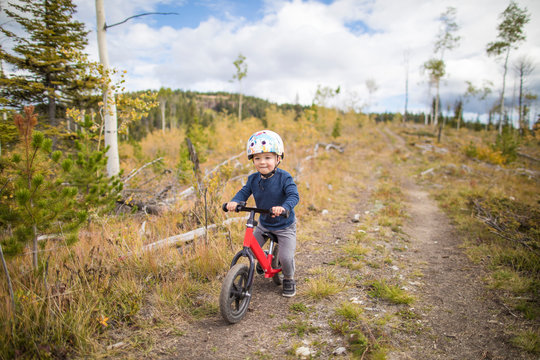 Toddler boy biking through forest.