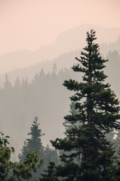 Layers of mountainside forest covered in smoke from nearby forest fire