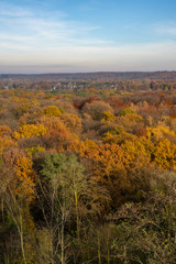 Colorful autumn trees in the Sechs-Seenplatte recreation area in Duisburg, North Rhine-Westphalia, Germany