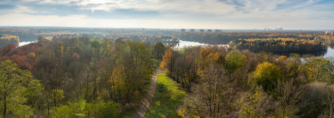 Colorful autumn trees in the Sechs-Seenplatte recreation area in Duisburg, North Rhine-Westphalia,...