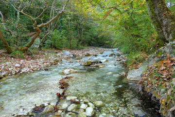 Enchanted nature north of Pozar in Maecdonia