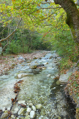 Enchanted nature north of Pozar in Maecdonia