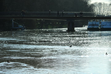 fluss