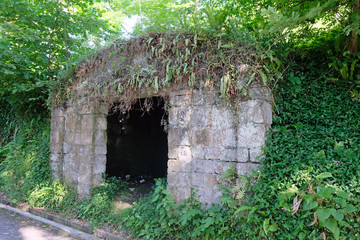 Entrance to the bunker in the botanical garden. The building in the hill is like a crypt. A building overgrown with grass recessed in a hill.