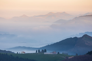 Misty  forest in the morning in the basque country, spain