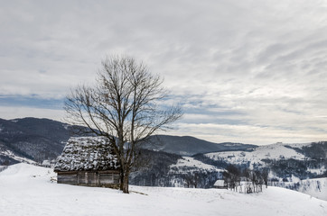Traditional houses in Dumesti village, Apuseni Mountains, Romania, in winter
