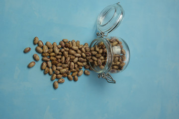 A Pinto Bean Variety Poured from a Glass Jar on a Blue Background. Brown beans with spots. Place for text