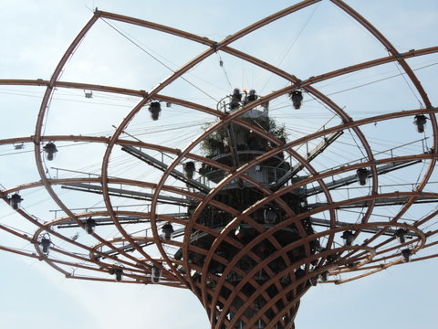 albero della vita
