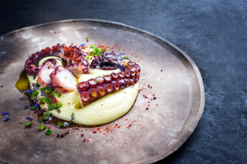 Traditioneller italienischer polpo alla griglia su crema di patate mit gegrillten Oktopus, Kartoffel Püree Creme und Chili als closeup auf einem Modern Design Teller mit Textfreiraum rechts © HLPhoto