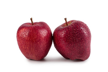 Two red ripe apples, perfect isolate on a white background, harvesting design.